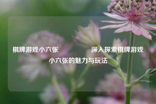 棋牌游戏小六张🎖️深入探索棋牌游戏小六张的魅力与玩法