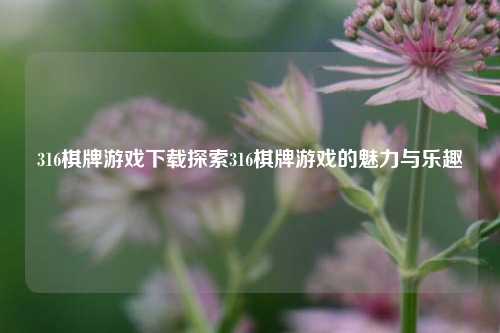 316棋牌游戏下载探索316棋牌游戏的魅力与乐趣