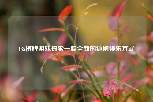 135棋牌游戏探索一款全新的休闲娱乐方式