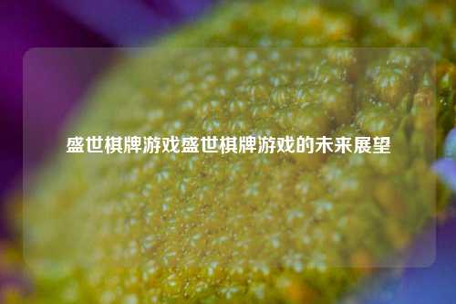 盛世棋牌游戏盛世棋牌游戏的未来展望