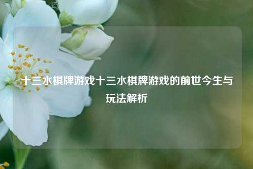 十三水棋牌游戏十三水棋牌游戏的前世今生与玩法解析