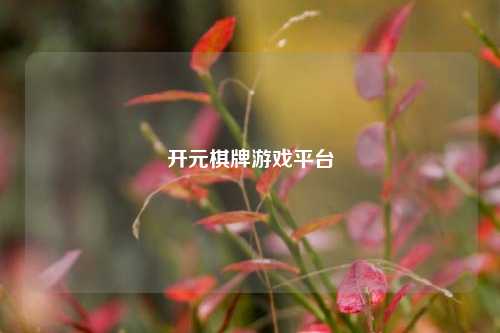 开元棋牌游戏平台
