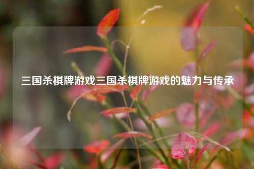 三国杀棋牌游戏三国杀棋牌游戏的魅力与传承