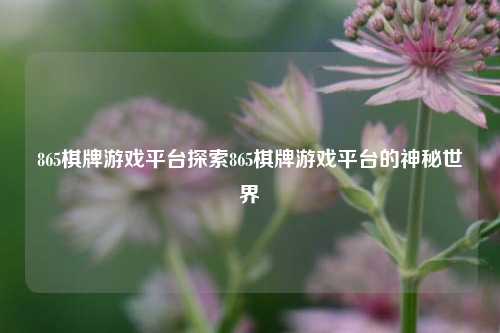 865棋牌游戏平台探索865棋牌游戏平台的神秘世界