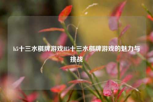 h5十三水棋牌游戏H5十三水棋牌游戏的魅力与挑战