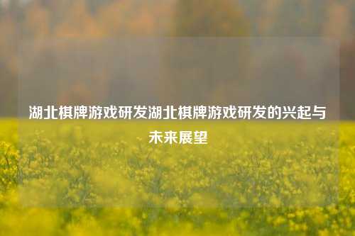 湖北棋牌游戏研发湖北棋牌游戏研发的兴起与未来展望