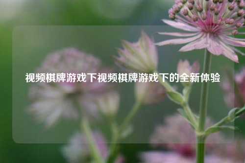 视频棋牌游戏下视频棋牌游戏下的全新体验