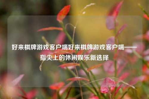 好来棋牌游戏客户端好来棋牌游戏客户端——指尖上的休闲娱乐新选择