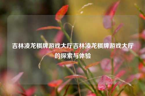 吉林凌龙棋牌游戏大厅吉林凌龙棋牌游戏大厅的探索与体验