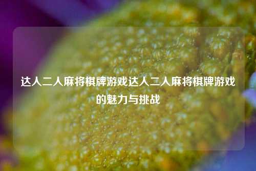 达人二人麻将棋牌游戏达人二人麻将棋牌游戏的魅力与挑战