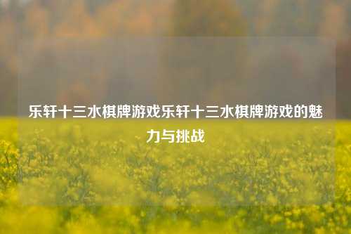 乐轩十三水棋牌游戏乐轩十三水棋牌游戏的魅力与挑战