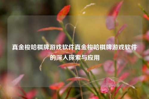 真金梭哈棋牌游戏软件真金梭哈棋牌游戏软件的深入探索与应用