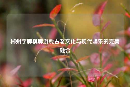 郴州字牌棋牌游戏古老文化与现代娱乐的完美融合