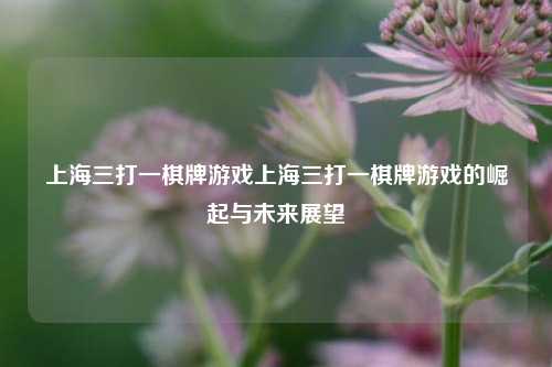 上海三打一棋牌游戏上海三打一棋牌游戏的崛起与未来展望