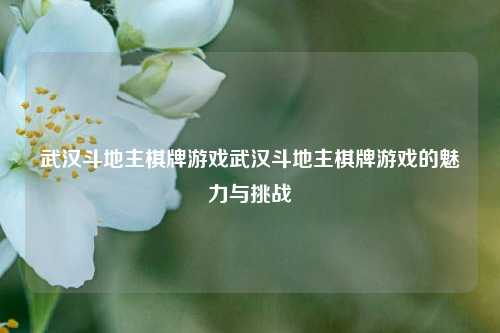武汉斗地主棋牌游戏武汉斗地主棋牌游戏的魅力与挑战
