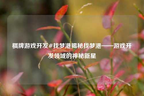 棋牌游戏开发#找梦港揭秘找梦港——游戏开发领域的神秘新星