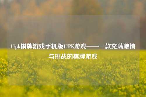 17pk棋牌游戏手机版17PK游戏——一款充满激情与挑战的棋牌游戏