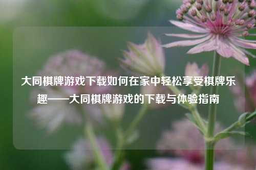大同棋牌游戏下载如何在家中轻松享受棋牌乐趣——大同棋牌游戏的下载与体验指南