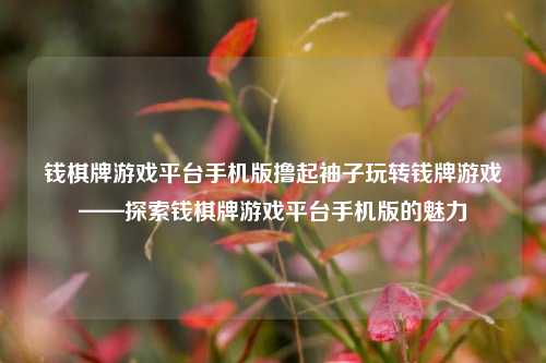 钱棋牌游戏平台手机版撸起袖子玩转钱牌游戏——探索钱棋牌游戏平台手机版的魅力