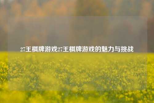 27王棋牌游戏27王棋牌游戏的魅力与挑战