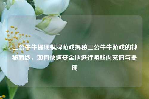 三公牛牛提现棋牌游戏揭秘三公牛牛游戏的神秘面纱，如何快速安全地进行游戏内充值与提现