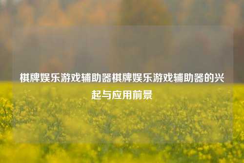 棋牌娱乐游戏辅助器棋牌娱乐游戏辅助器的兴起与应用前景