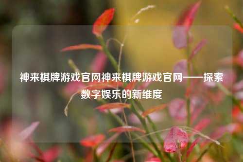 神来棋牌游戏官网神来棋牌游戏官网——探索数字娱乐的新维度