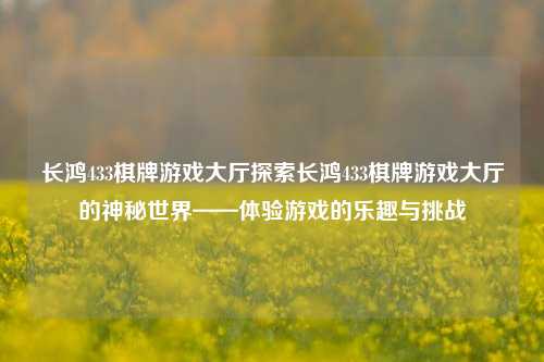 长鸿433棋牌游戏大厅探索长鸿433棋牌游戏大厅的神秘世界——体验游戏的乐趣与挑战