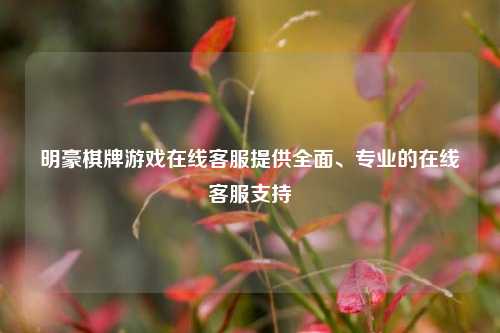 明豪棋牌游戏在线客服提供全面、专业的在线客服支持