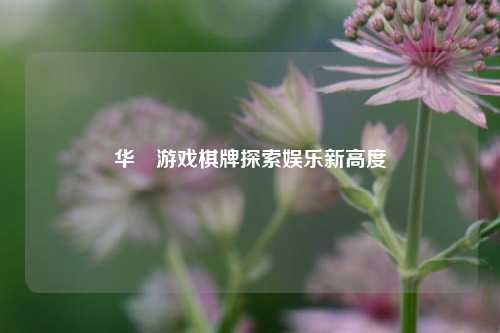 华楽游戏棋牌探索娱乐新高度