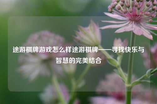 途游棋牌游戏怎么样途游棋牌——寻找快乐与智慧的完美结合