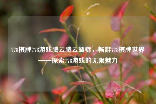 778棋牌778游戏腾云腾云驾雾，畅游778棋牌世界——探索778游戏的无限魅力