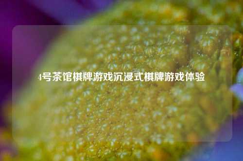 4号茶馆棋牌游戏沉浸式棋牌游戏体验