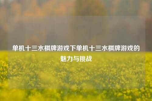 单机十三水棋牌游戏下单机十三水棋牌游戏的魅力与挑战