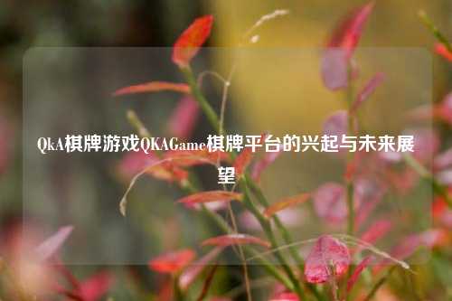 QkA棋牌游戏QKAGame棋牌平台的兴起与未来展望
