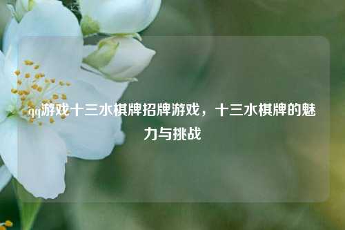 qq游戏十三水棋牌招牌游戏，十三水棋牌的魅力与挑战