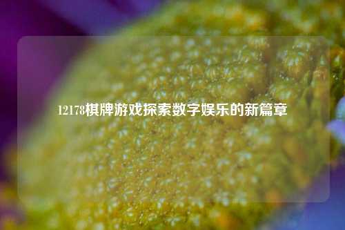 12178棋牌游戏探索数字娱乐的新篇章