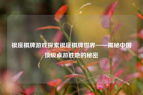 银座棋牌游戏探索银座棋牌世界——揭秘中国顶级桌游胜地的秘密