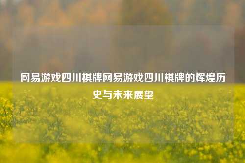 网易游戏四川棋牌网易游戏四川棋牌的辉煌历史与未来展望