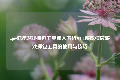 wpe棋牌游戏抓包工具深入解析WPE游戏棋牌游戏抓包工具的使用与技巧
