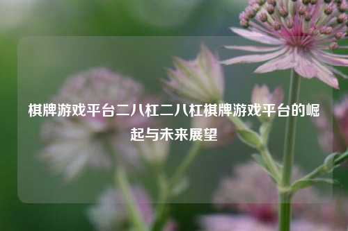 棋牌游戏平台二八杠二八杠棋牌游戏平台的崛起与未来展望