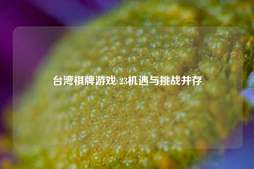 台湾棋牌游戏 23机遇与挑战并存