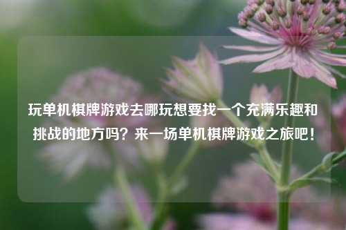 玩单机棋牌游戏去哪玩想要找一个充满乐趣和挑战的地方吗？来一场单机棋牌游戏之旅吧！
