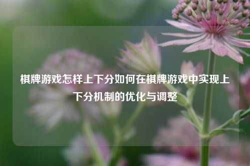 棋牌游戏怎样上下分如何在棋牌游戏中实现上下分机制的优化与调整