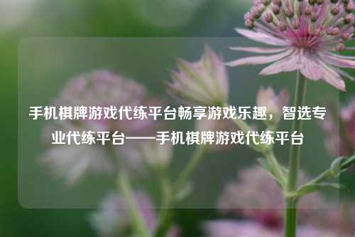 手机棋牌游戏代练平台畅享游戏乐趣，智选专业代练平台——手机棋牌游戏代练平台