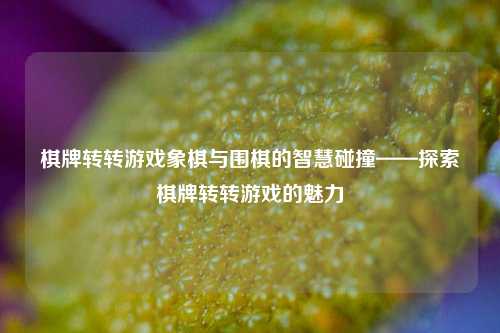棋牌转转游戏象棋与围棋的智慧碰撞——探索棋牌转转游戏的魅力