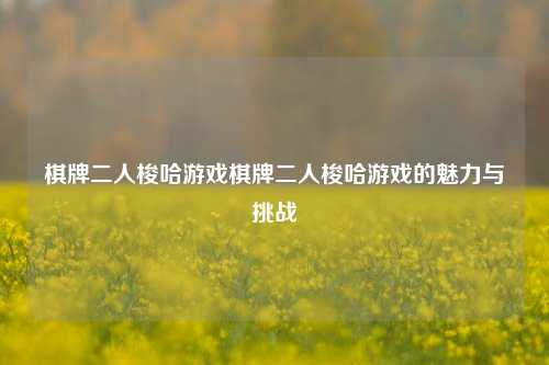 棋牌二人梭哈游戏棋牌二人梭哈游戏的魅力与挑战