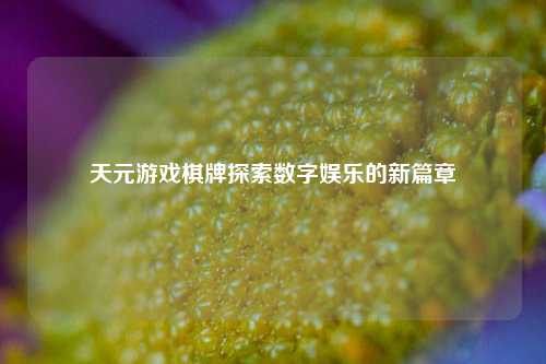 天元游戏棋牌探索数字娱乐的新篇章
