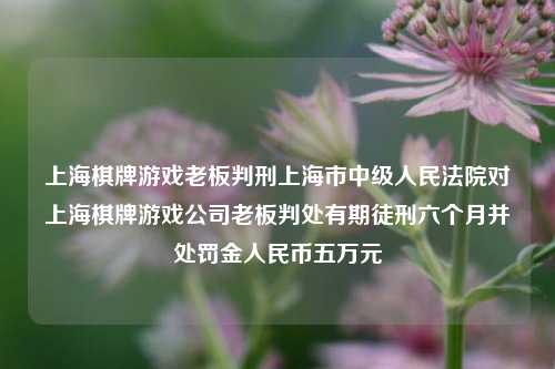 上海棋牌游戏老板判刑上海市中级人民法院对上海棋牌游戏公司老板判处有期徒刑六个月并处罚金人民币五万元