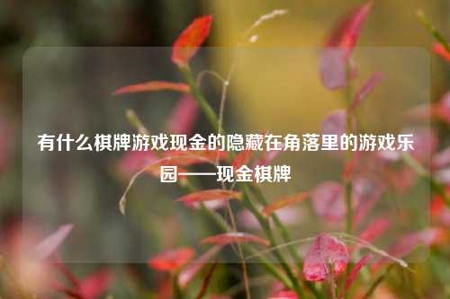 有什么棋牌游戏现金的隐藏在角落里的游戏乐园——现金棋牌